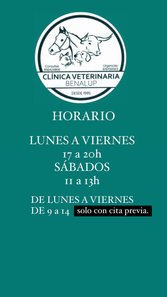 Las mejores clínica veterinaria en Benalup-Casas Viejas para cuidar a tu mascota