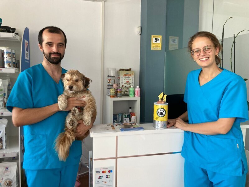 Las mejores clínica veterinaria en Cabezabellosa