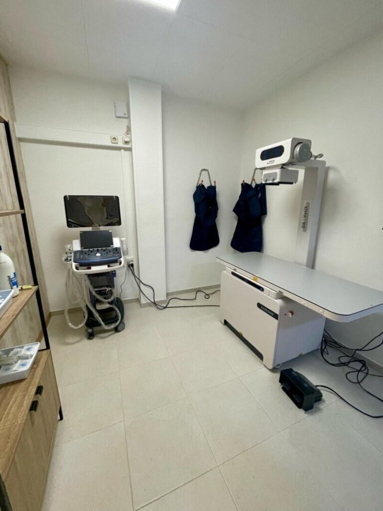 Las mejores clínica veterinaria en Calaf