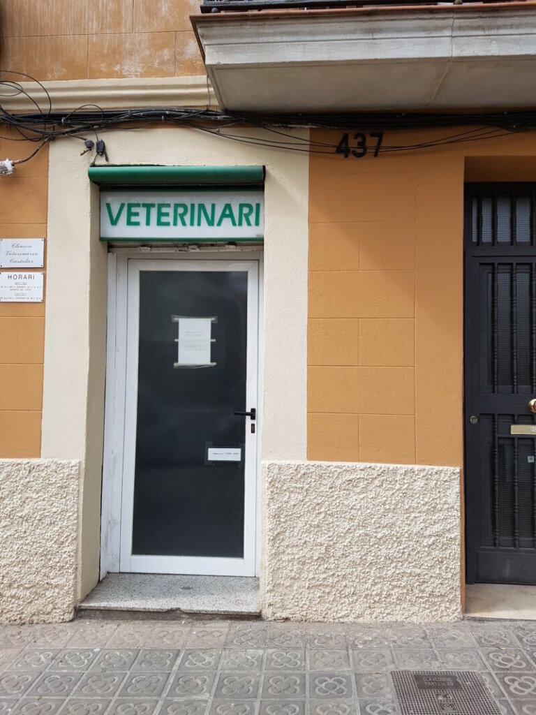 Las mejores clínica veterinaria en Castellar del Riu
