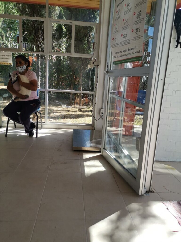 Las mejores clínica veterinaria en Contreras para el cuidado de tu mascota