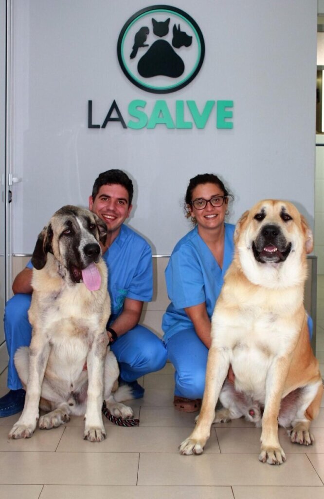 Las mejores clínica veterinaria en Escalante