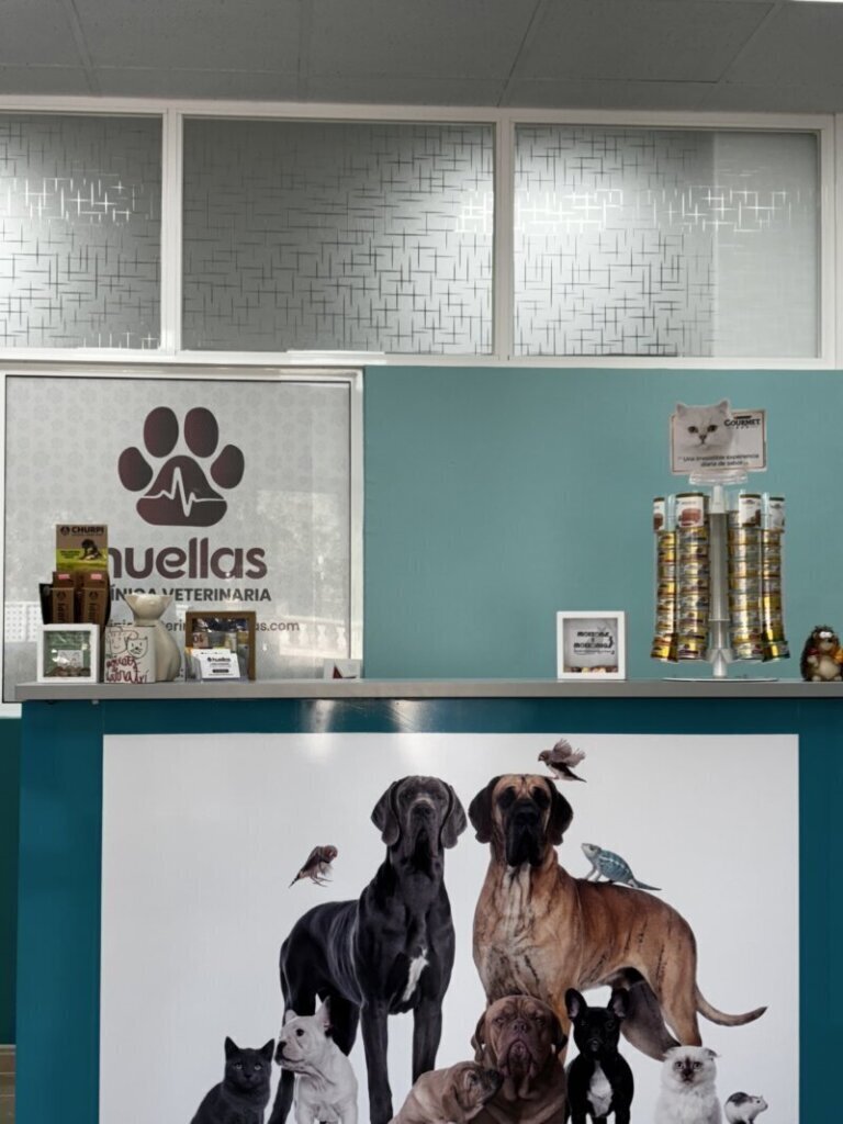 Las mejores clínica veterinaria en Espunyola L, atención experta y cercana