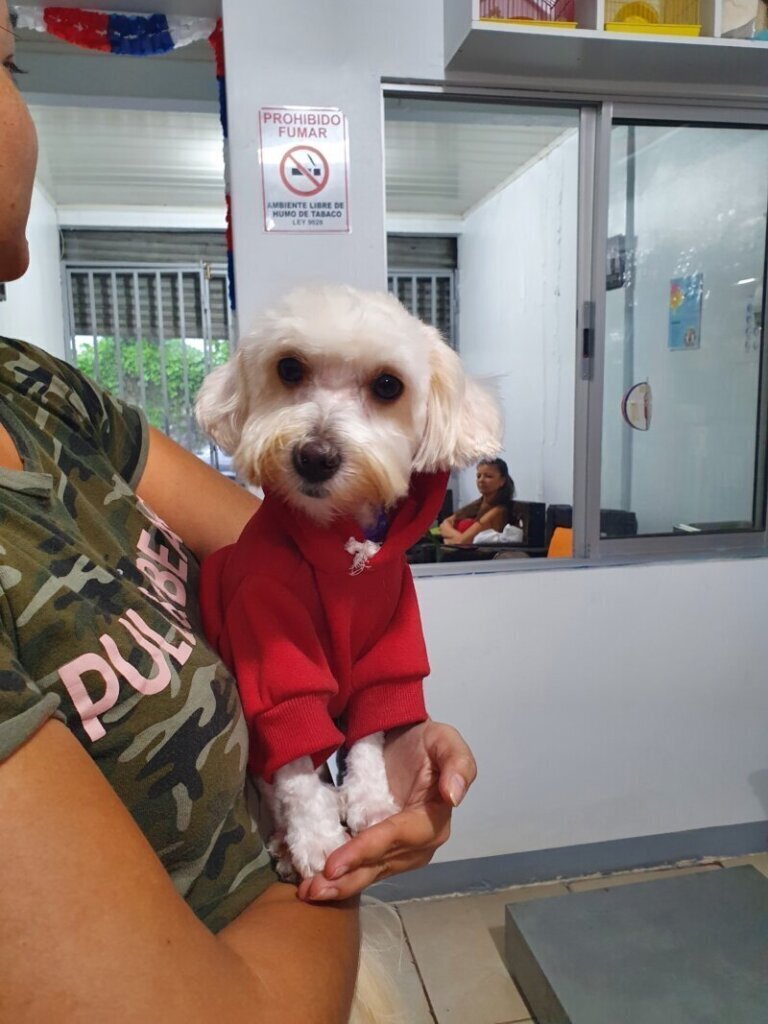 Las mejores clínica veterinaria en Estany L para el cuidado de tu mascota