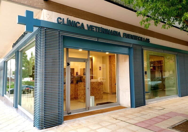 Las mejores clínica veterinaria en Fuentemolinos