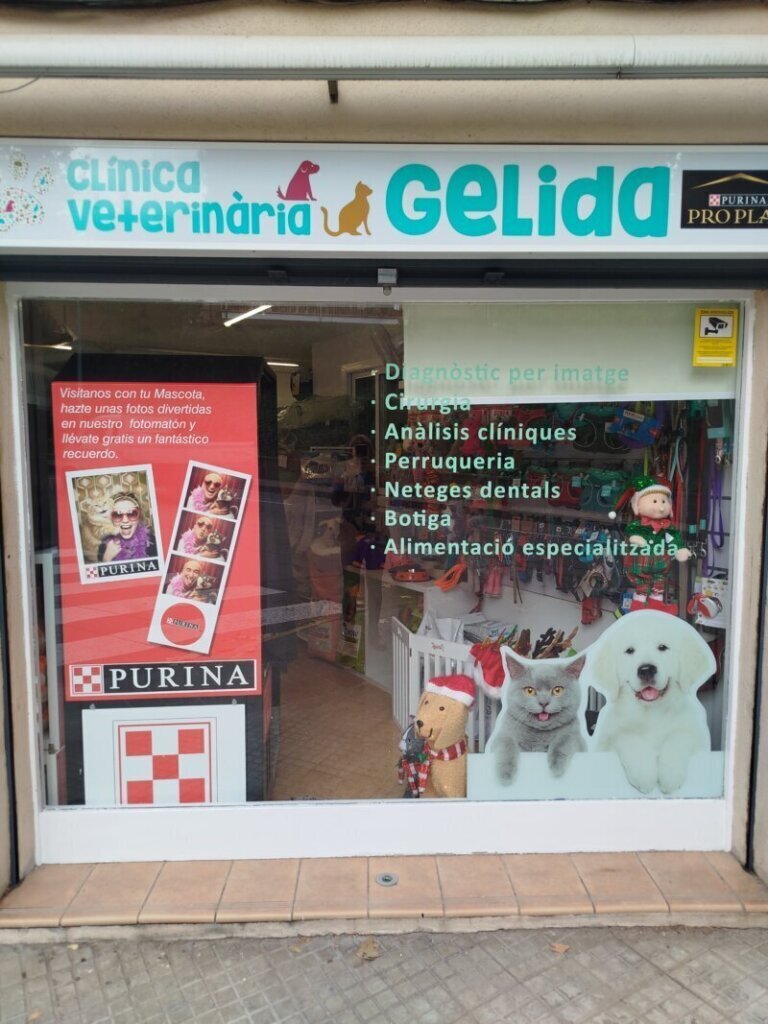 Las mejores clínica veterinaria en Gelida