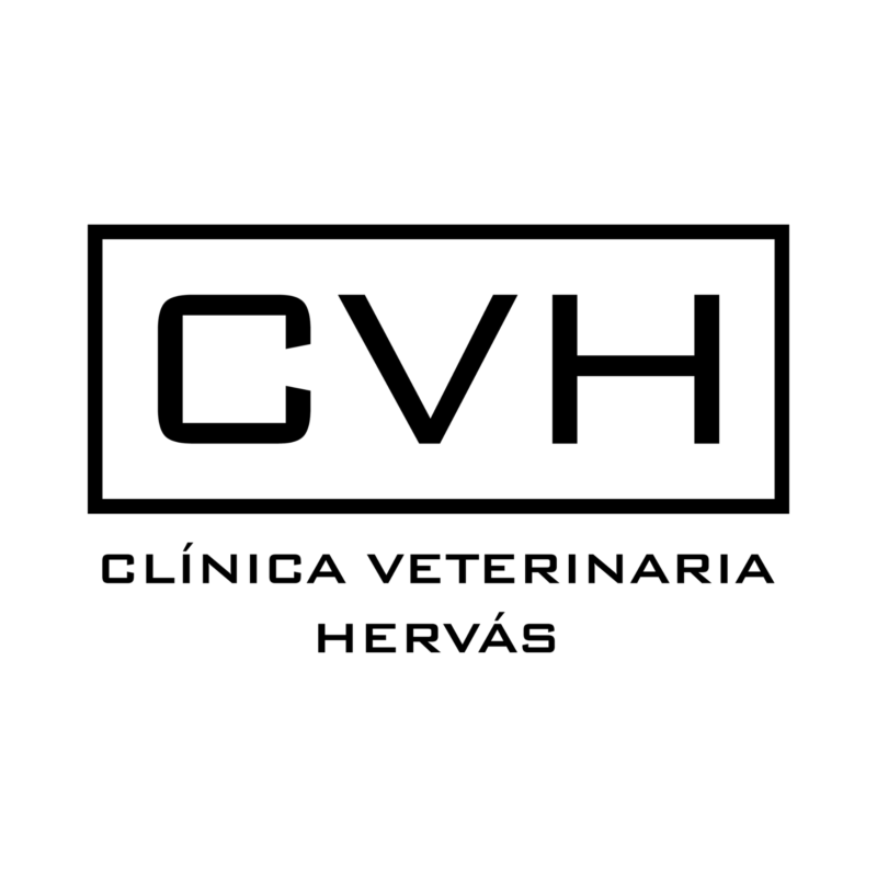 Las mejores clínica veterinaria en Hervás para cuidar a tu mascota