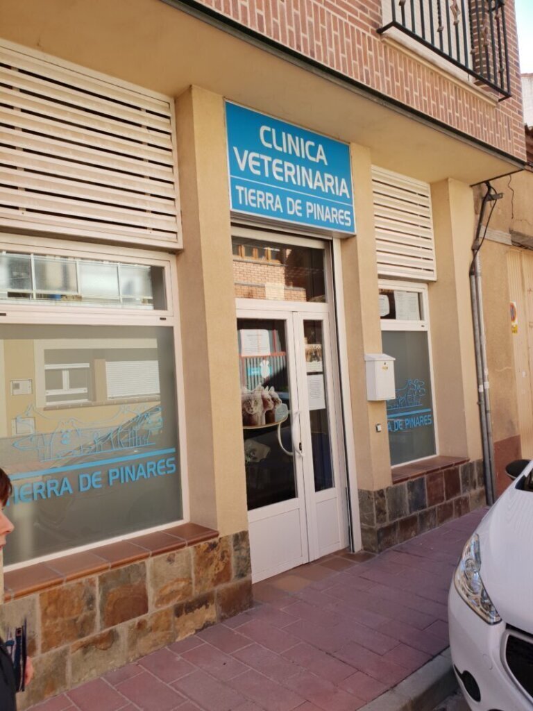 Las mejores clínica veterinaria en Hontoria del Pinar