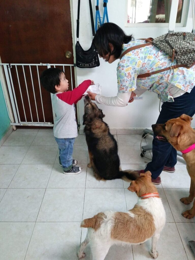 Las mejores clínica veterinaria en Liendo para el cuidado de tu mascota
