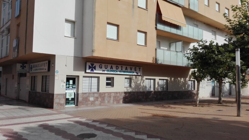 Las mejores clínica veterinaria en Monterrubio de la Serena