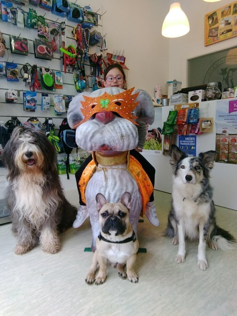 Las mejores clínica veterinaria en Noreña para el cuidado de tu mascota