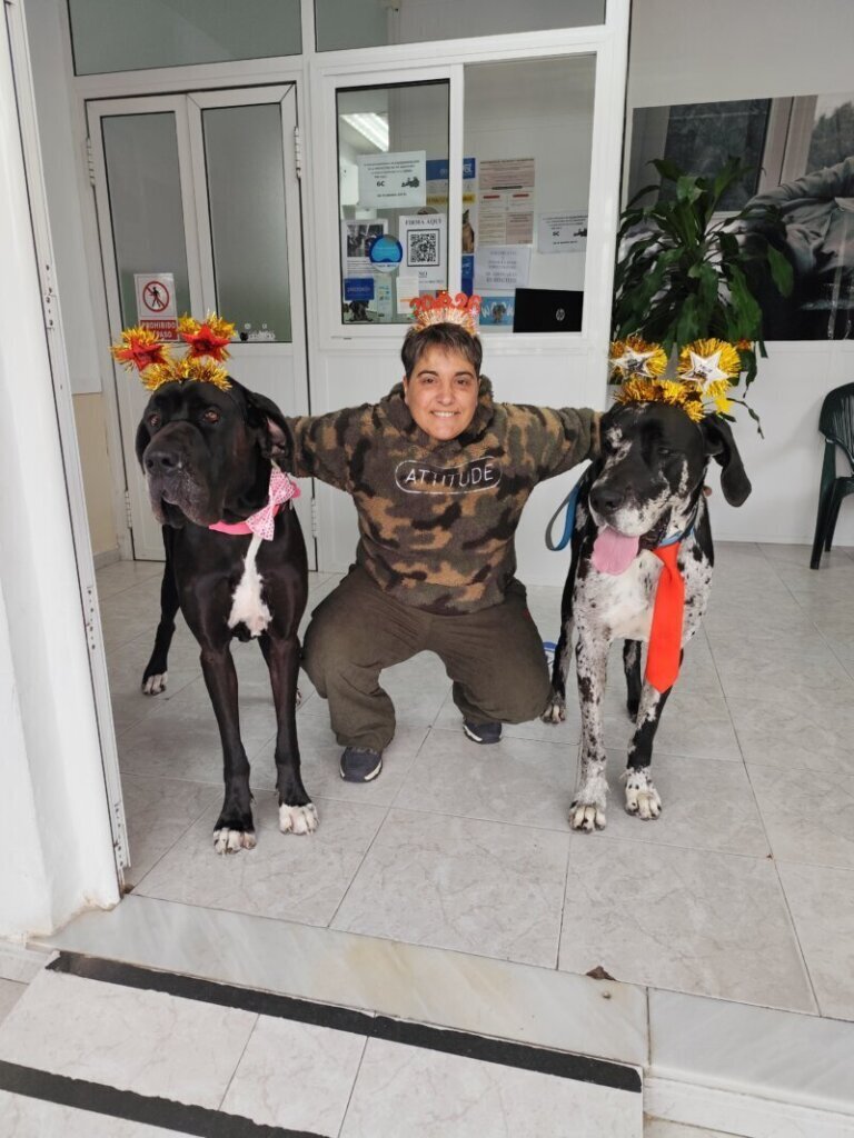 Las mejores clínica veterinaria en Santa María del Invierno