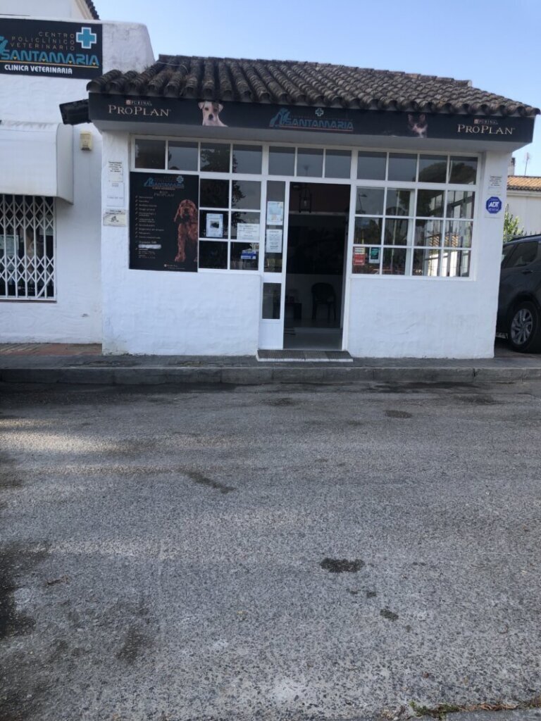 Las mejores clínica veterinaria en Santa María del Mercadillo para cuidar a tu mascota