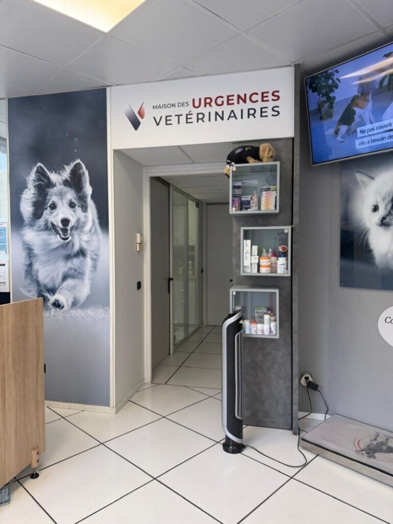 Las mejores clínica veterinaria en Tolbaños