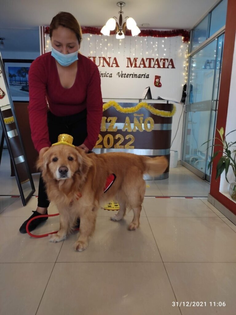 Las mejores clínica veterinaria en Trujillo