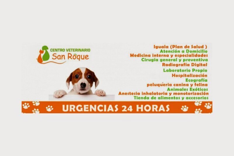 Las mejores clínica veterinaria en Usagre