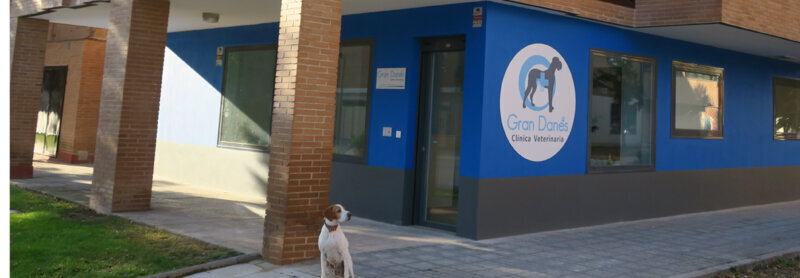 Las mejores clínica veterinaria en Vadocondes