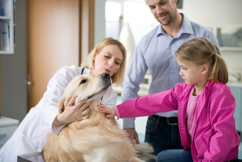 Las mejores clínicas veterinarias cerca de ti en Cogollos