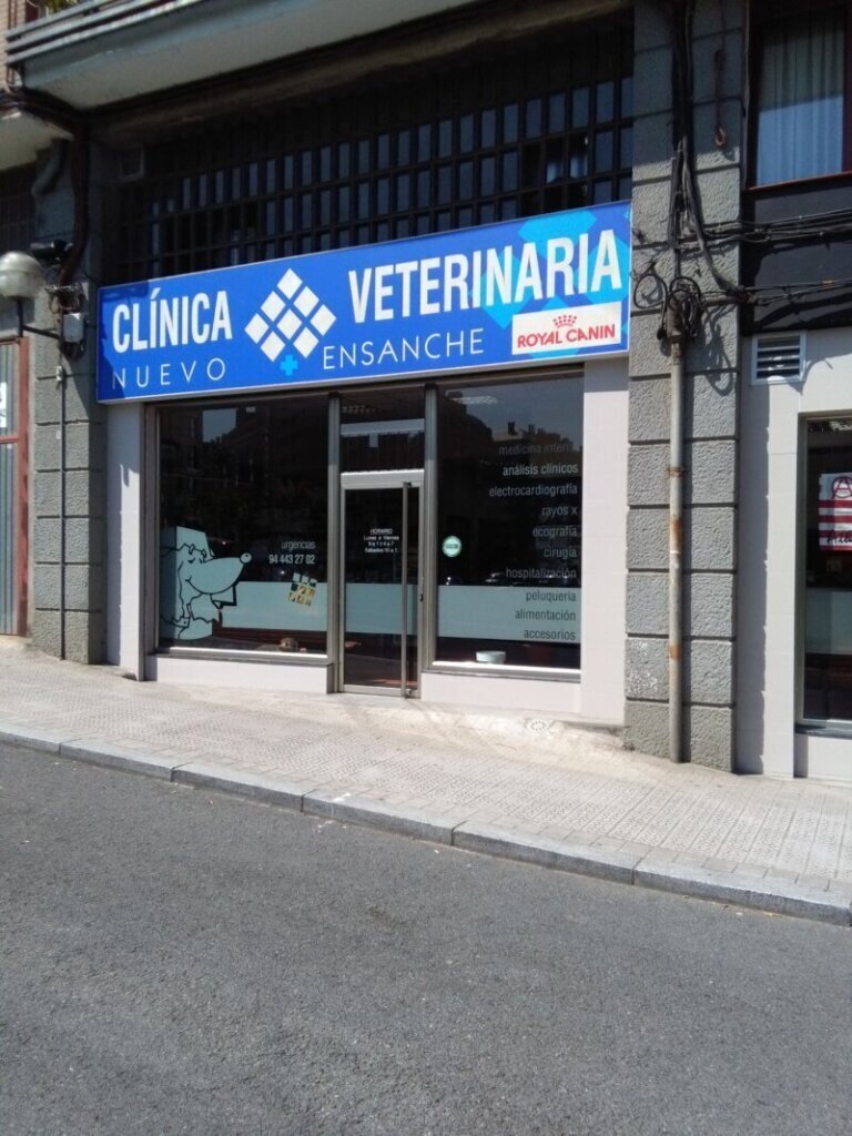 Las mejores clínicas veterinarias de confianza en Elantxobe