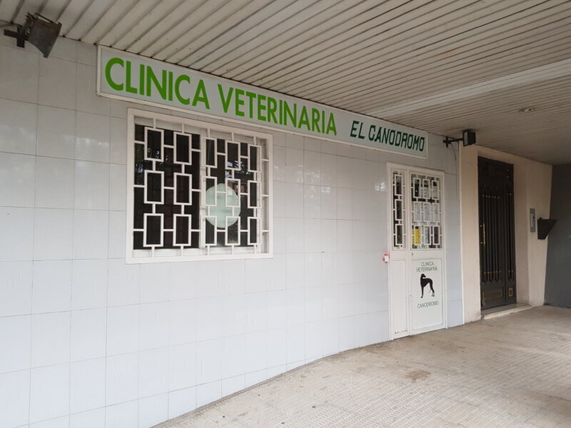 Las mejores clínicas veterinarias en Artzentales para el cuidado de tu mascota