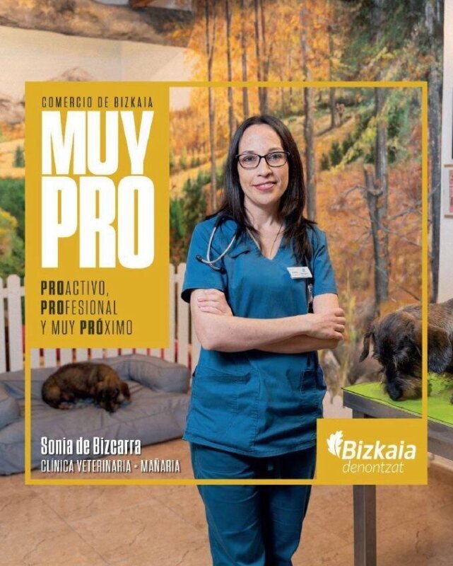 Las mejores clínicas veterinarias en Mañaria