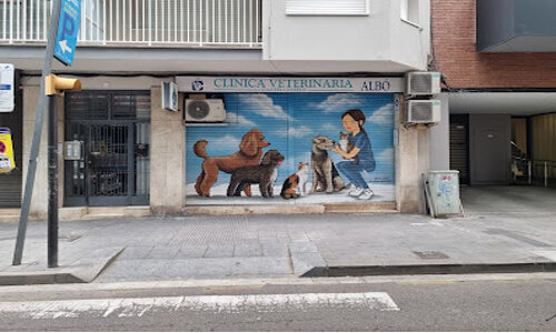 Las mejores clínicas veterinarias en Orba para el cuidado de tu mascota - Las mejores clínicas