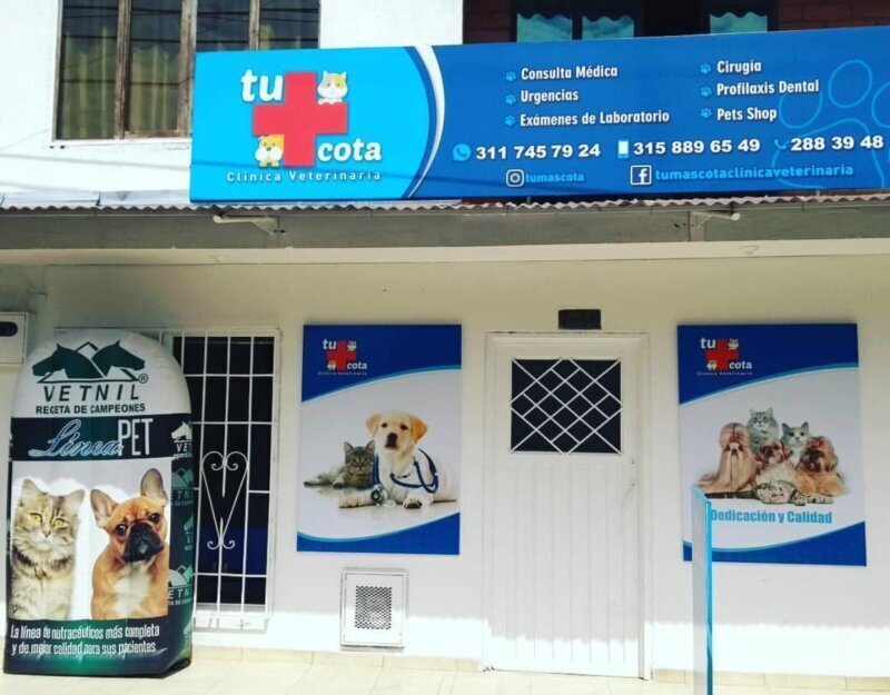 Los mejores cuidados para tu mascota: clínica veterinaria en Peraleda del Zaucejo
