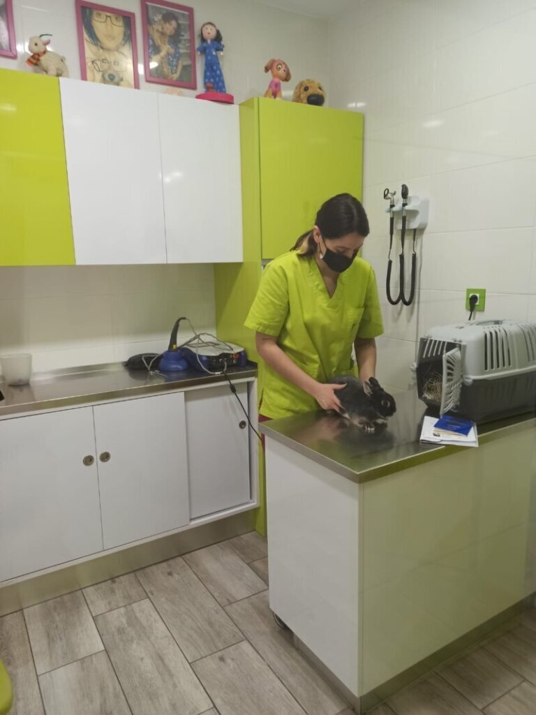 Los mejores especialistas en clínica veterinaria en Rezmondo