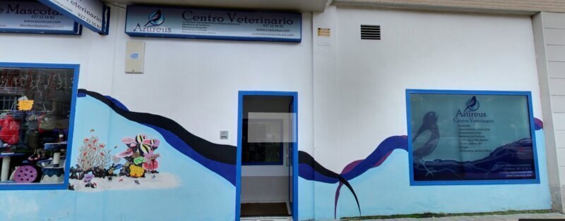 Los mejores servicios de clínica veterinaria en Casares de las Hurdes