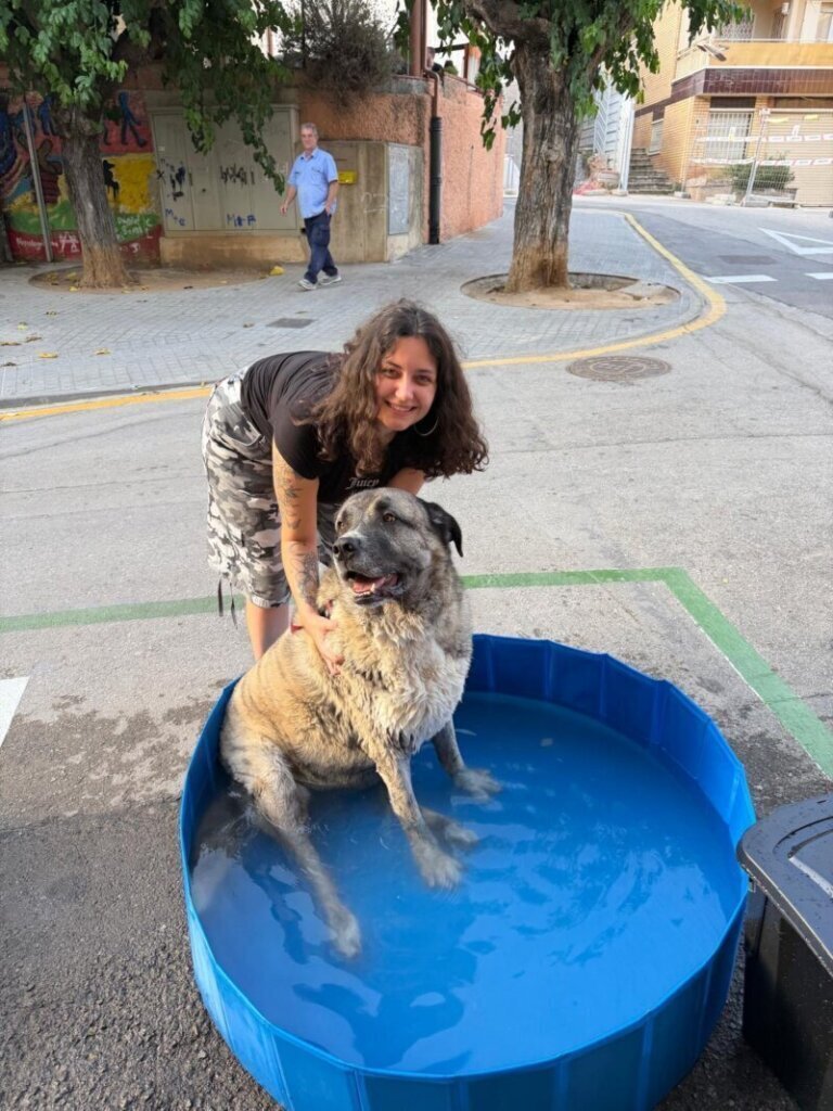 Los mejores servicios de clínica veterinaria en Cervelló