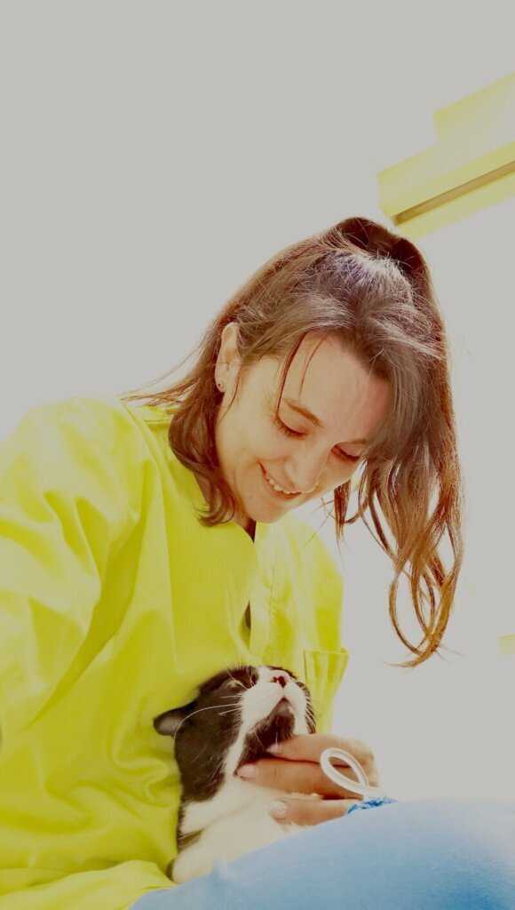 Los mejores servicios de clínica veterinaria en Cuevas de San Clemente