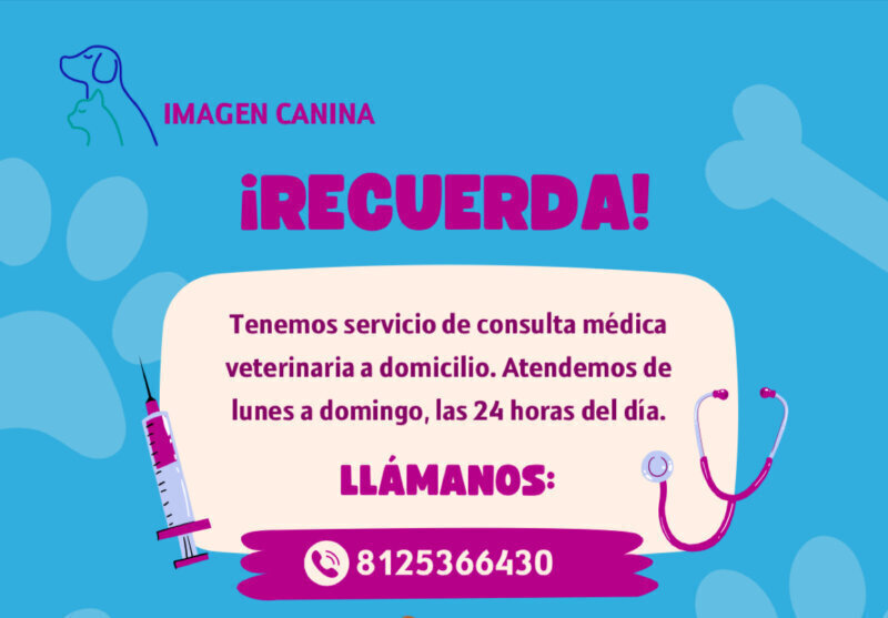 Los mejores servicios de clínica veterinaria en Hoyo de Pinares El