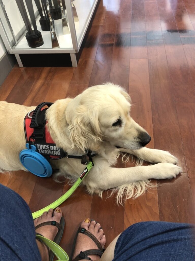 Los mejores servicios de clínica veterinaria en Isar