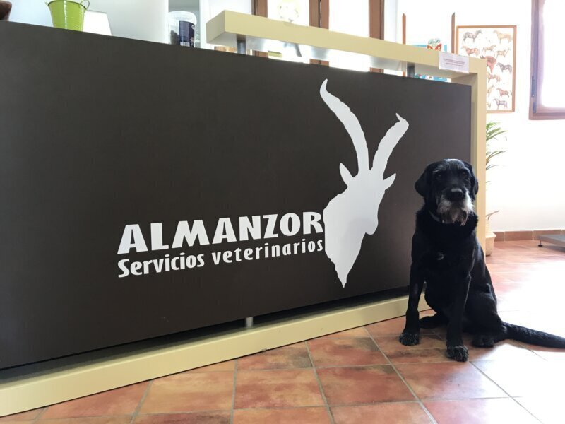 Los mejores servicios de clínica veterinaria en Malpartida de Corneja