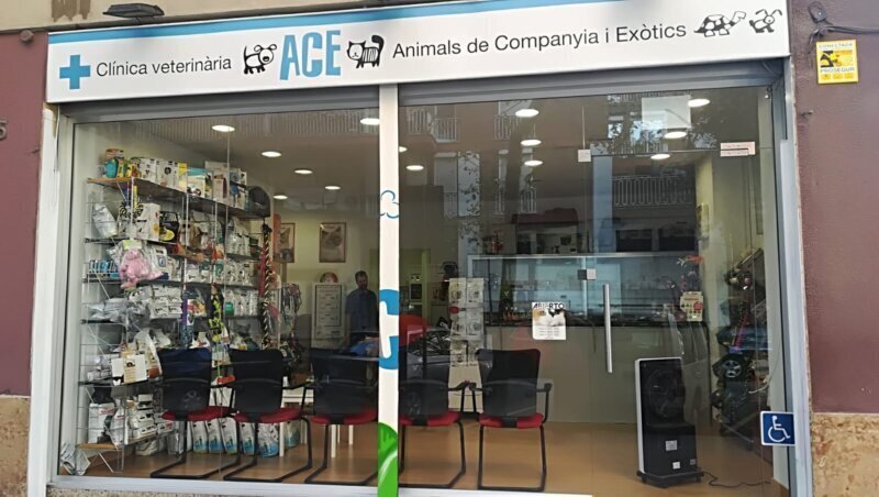 Los mejores servicios de clínica veterinaria en Masnou El