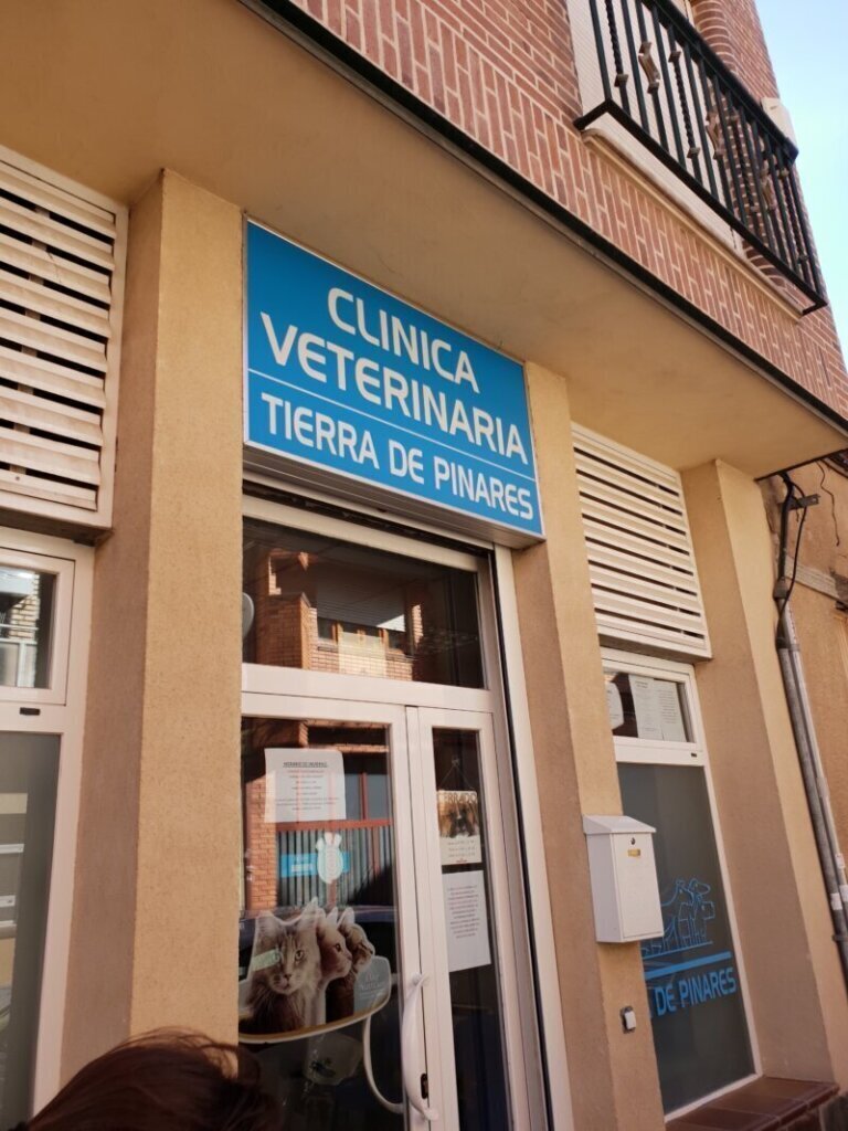Los mejores servicios de clínica veterinaria en Navalperal de Pinares