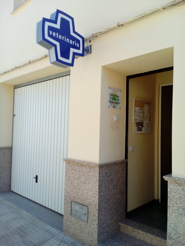 Los mejores servicios de clínica veterinaria en Talarrubias