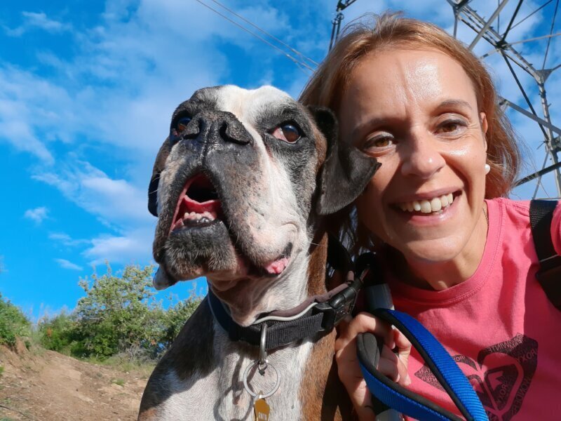 Los mejores servicios de clínica veterinaria en Torrelles de Foix