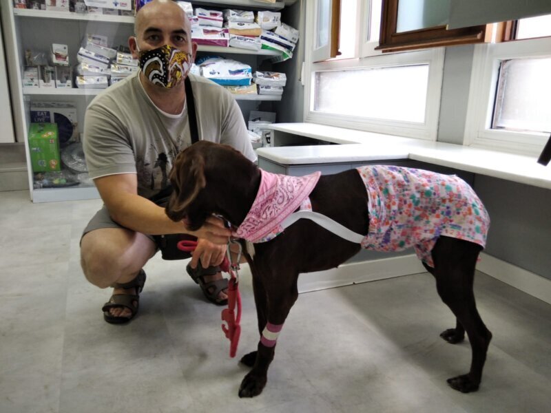 Los mejores servicios de clínica veterinaria en Valdetorres para tu mascota