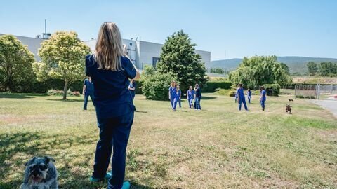 Los mejores servicios de tu clínica veterinaria en Villafranca Montes de Oca